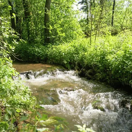 In Near Town Center 別荘