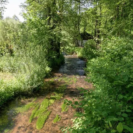 In Near Town Center *